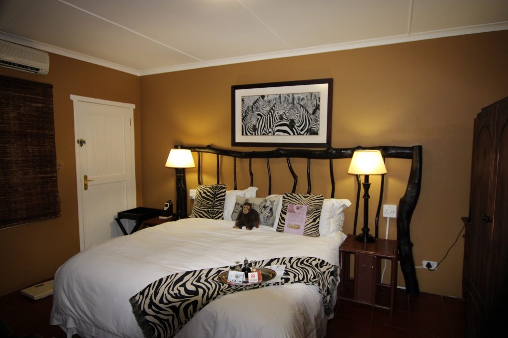 Acorn B&B Rooms - Guesthouse Accommodation - Durban, South Africa